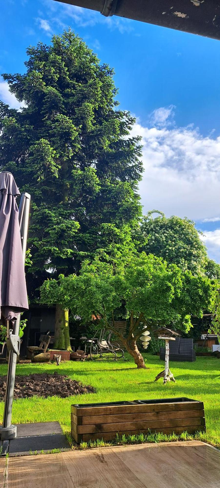 All-in-one Mit Eigener Sonnenterrasse Im Garten Düsseldorf