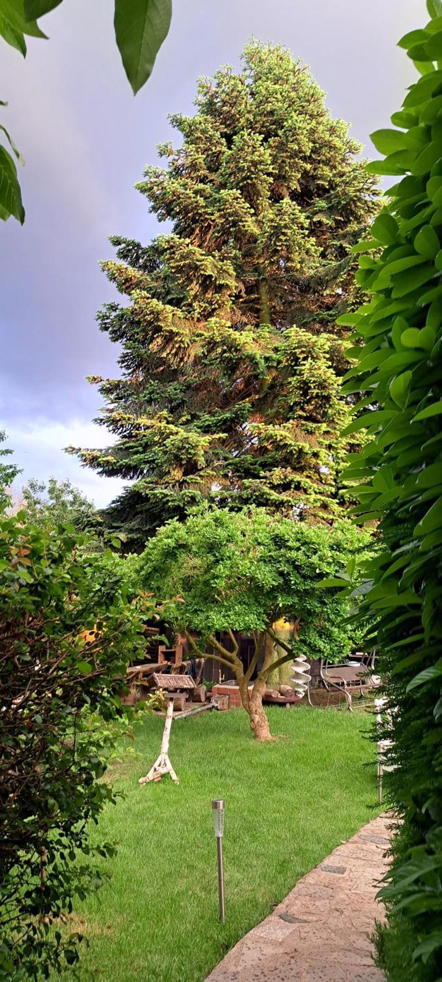 Apartment All-in-one Mit Eigener Sonnenterrasse Im Garten *