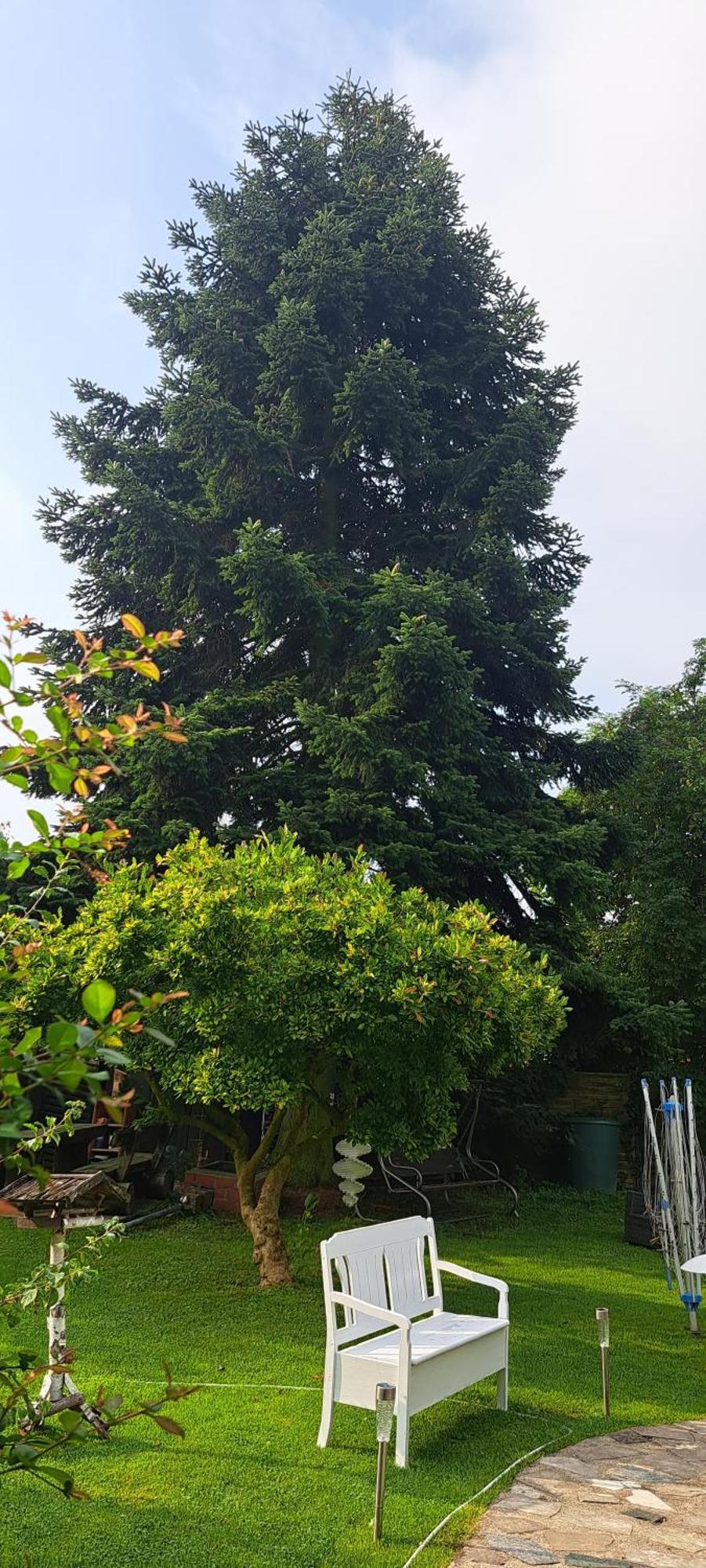 All-in-one Mit Eigener Sonnenterrasse Im Garten